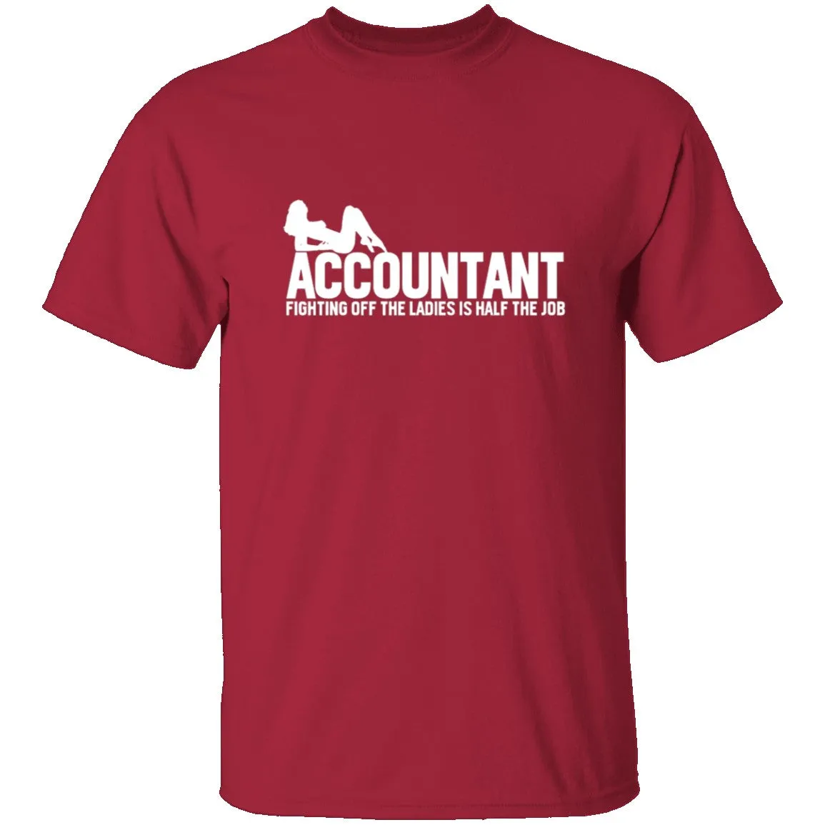 Accountant Fighting Off The Ladies T-Shirt