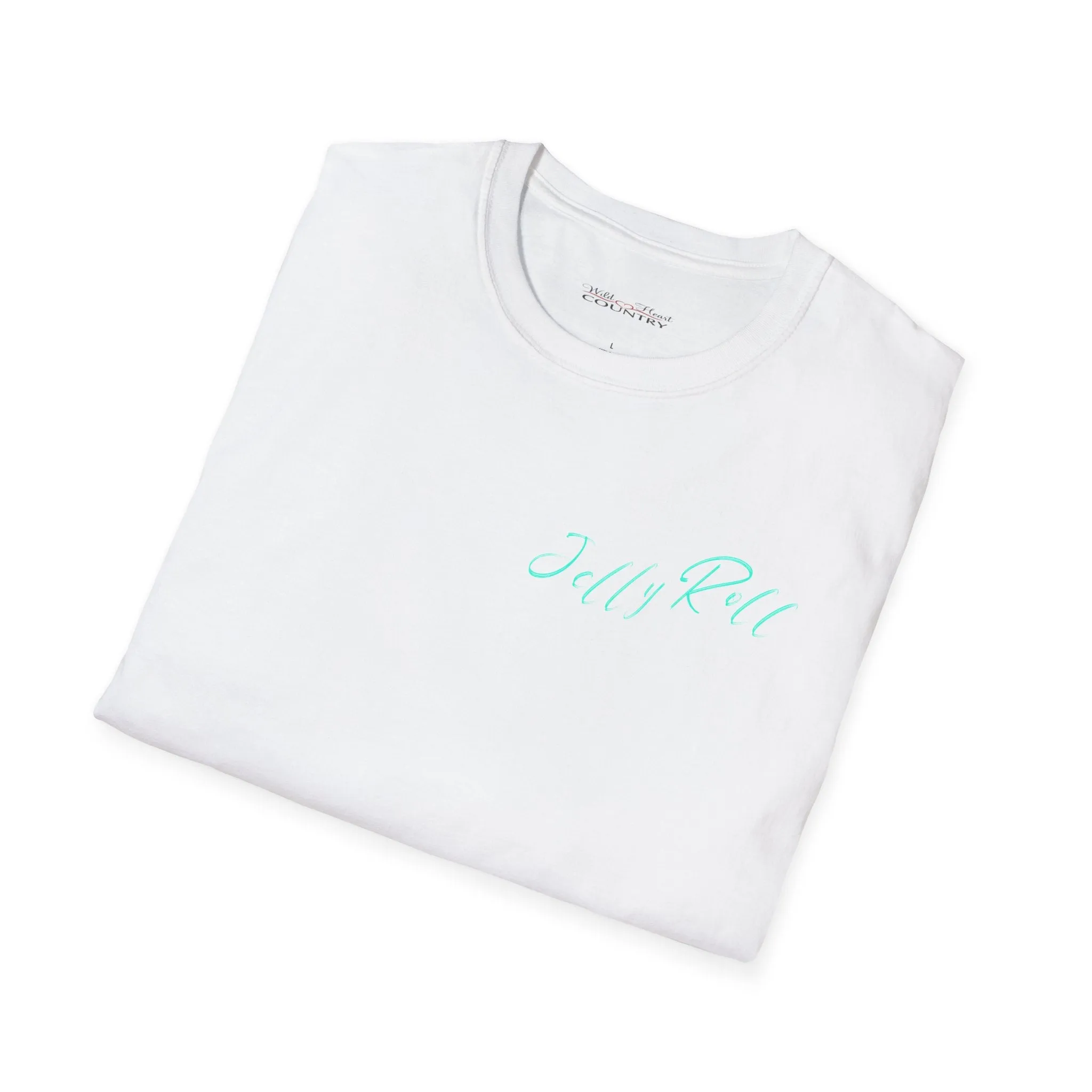 Jelly Roll inspired T-Shirt, Country Shirt, Shiny and Leopard Print, Tour Shirt, Festival Tee, Streetwear shirt, Western T-shirt